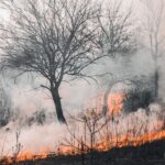 Incendie des Hautes Fagnes : quelles facilités de paiement pour les indépendants touchés ?