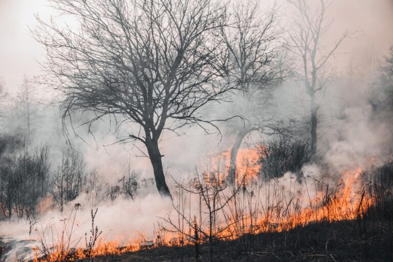 Incendie des Hautes Fagnes : quelles facilités de paiement pour les indépendants touchés ?