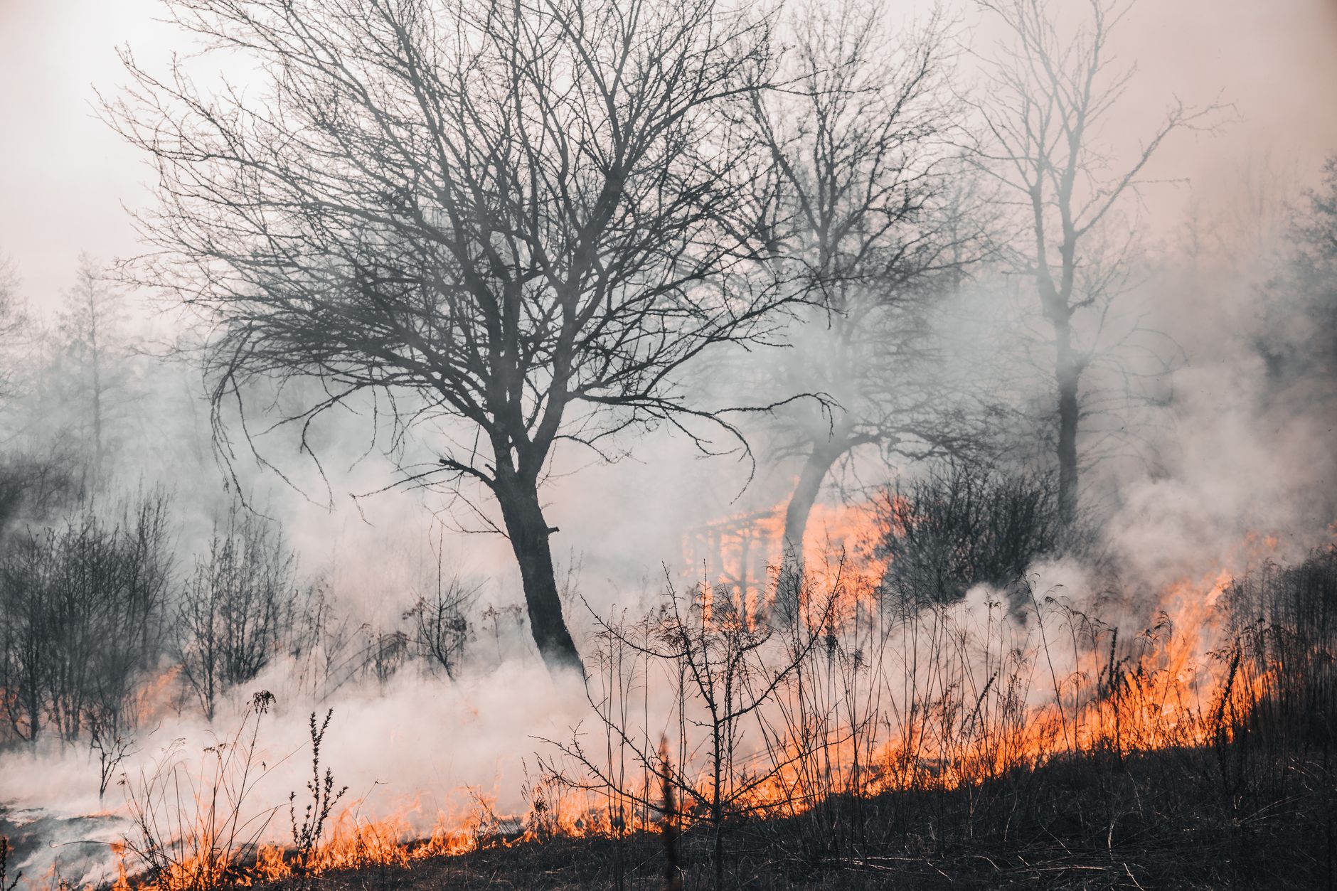 Incendie des Hautes Fagnes : quelles facilités de paiement pour les indépendants touchés ?